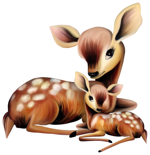 gekke dieren